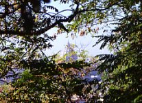 Cupola di San Pietro a Roma:
vista per la prima volta
tra gli alberi di Monte Mario
(17627 bytes)